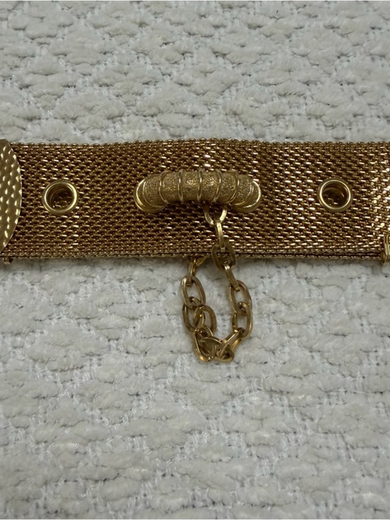 Vintage Sarah Coventry Gold Mesh with Chain Waist Belt Designer Style main image 8